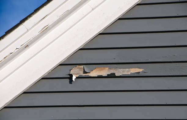 Trusted Orleans, VT Siding Services Experts