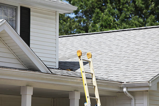 Best Siding for New Construction  in Orleans, VT